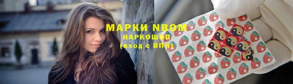 мяу мяу мука Белокуриха
