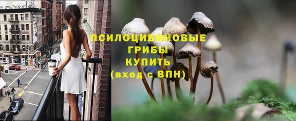 мяу мяу мука Белокуриха